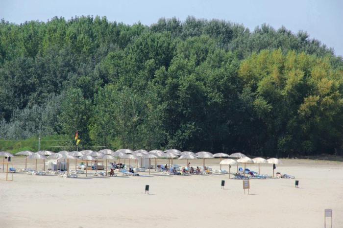 14141966_649862858502369_662372880347162665_n