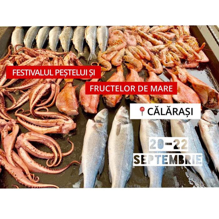 70371611_2332156260154417_346360744163409920_n